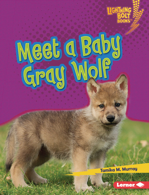 Meet a Baby Gray Wolf 1728491118 Book Cover