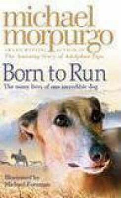 Born to Run 000726562X Book Cover