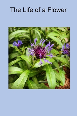 The Life of a Flower 1794758402 Book Cover