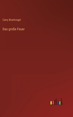 Das große Feuer [German] 3368446711 Book Cover