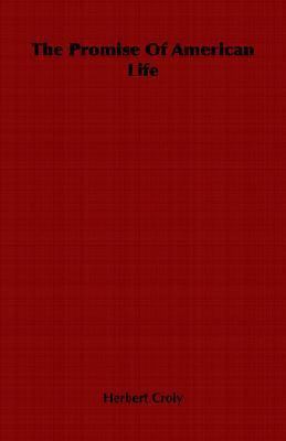 The Promise Of American Life 184664433X Book Cover