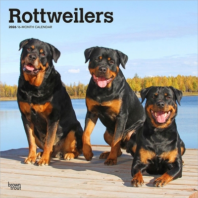Rottweilers 2026 12 X 24 Inch (Hanging) Monthly... B0DYL659F2 Book Cover