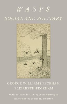 Wasps - Social and Solitary;With an Introductio... 1528710029 Book Cover