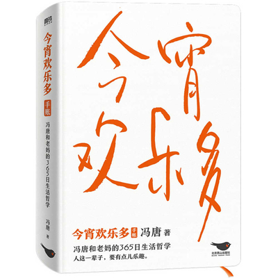 Much Fun Tonight [Chinese] 7540263342 Book Cover