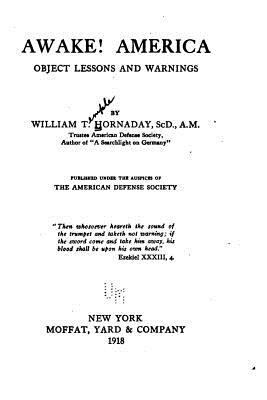Awake! America, Object Lessons and Warnings 1534638032 Book Cover