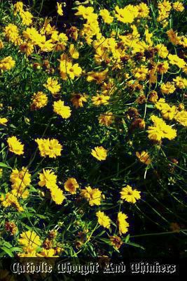 Catholic Thought And Thinkers 1470085631 Book Cover