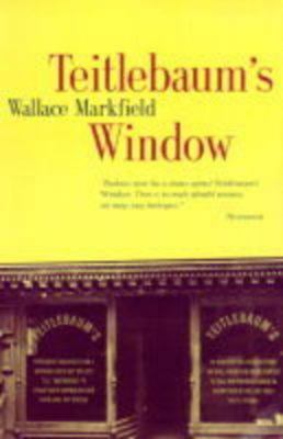 Teitlebaum's Window 1564782190 Book Cover