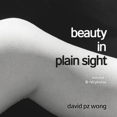 Beauty in Plain Sight : Volume 1: B+W Photos (1962-1997)