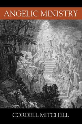 Angelic Ministry 1478782226 Book Cover