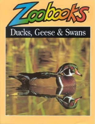 Ducks, Geese, & Swans 0937934216 Book Cover