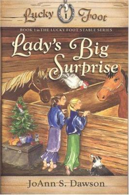 Lady's Big Surprise 097465616X Book Cover