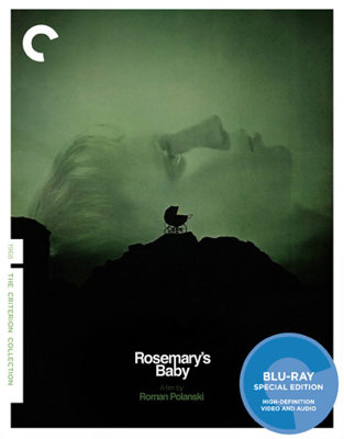 Rosemary's Baby            Book Cover