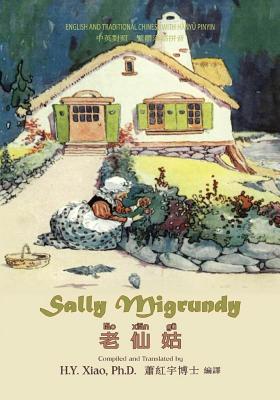 Sally Migrundy (Traditional Chinese): 04 Hanyu ... [Chinese] 1505884942 Book Cover