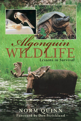 Algonquin Wildlife: Lessons in Survival 1896219284 Book Cover