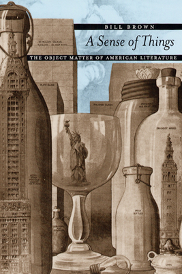 A Sense of Things: The Object Matter of America... 0226076288 Book Cover