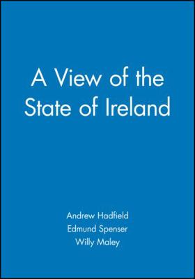 A View of the State of Ireland: The Production ... 0631205357 Book Cover