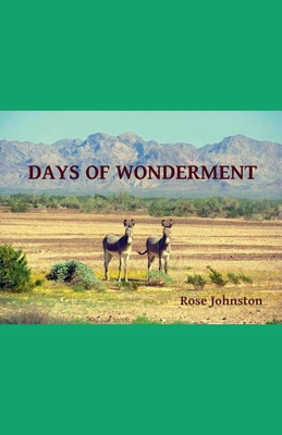 Days of Wonderment B0GJJQ4FWR Book Cover