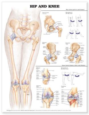 Hip and Knee Anatomical Chart 1587798670 Book Cover