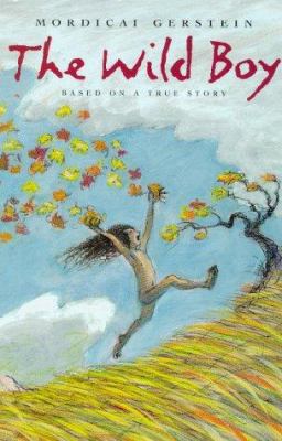 The Wild Boy 0374384312 Book Cover