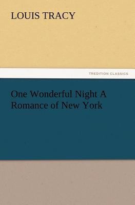 One Wonderful Night a Romance of New York 3847232479 Book Cover