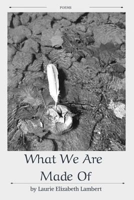 What We Are Made Of 1635348390 Book Cover