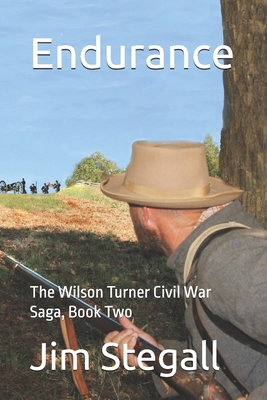 Endurance: The Wilson Turner Civil War Saga B0DM2L163K Book Cover