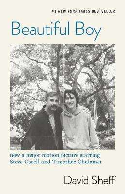 Beautiful Boy: A Father's Journey Through His S... 1471182304 Book Cover