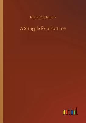 A Struggle for a Fortune 373404412X Book Cover