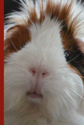 Guinea Pig Says Write 1712785494 Book Cover