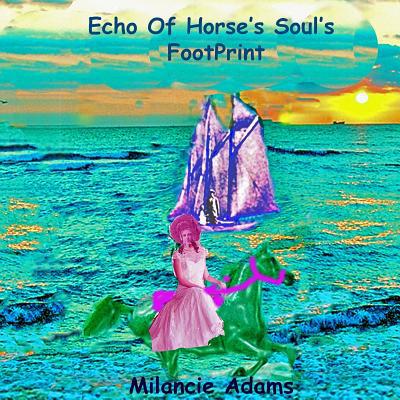 Echo OF Horse's Soul's FootPrint 1727246586 Book Cover