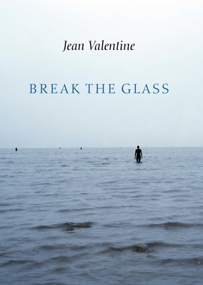 Break the Glass 1556593945 Book Cover