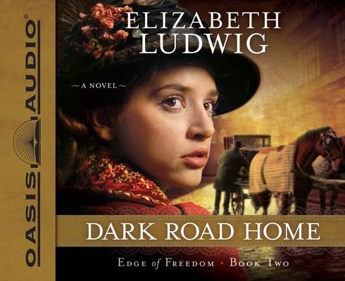 Dark Road Home: Volume 2 1613755120 Book Cover