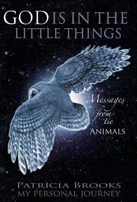 God Is in the Little Things: Messages from the ... 1452576580 Book Cover