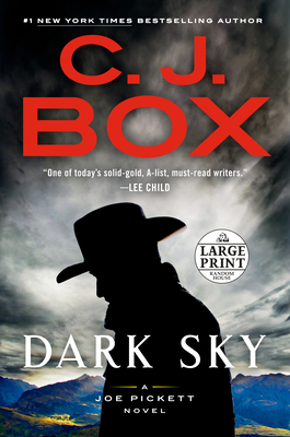Dark Sky [Large Print] 0593395530 Book Cover