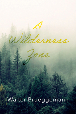 A Wilderness Zone 1666701246 Book Cover