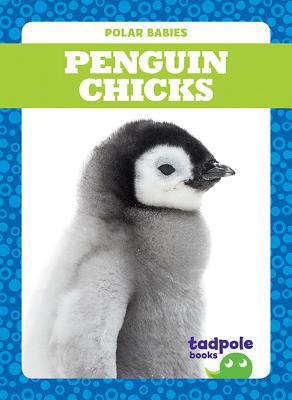 Penguin Chicks 1641287535 Book Cover