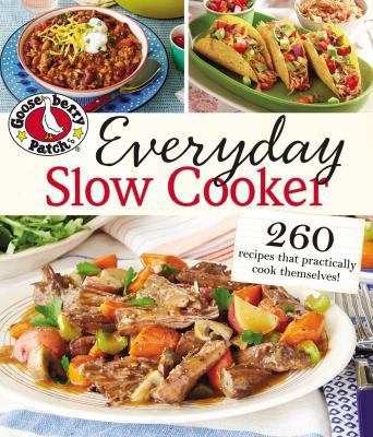 Everyday Slow Cooker: 260 Recipes That Practica... 0848743253 Book Cover