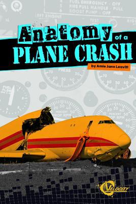 Anatomy of a Plane Crash 1429647965 Book Cover