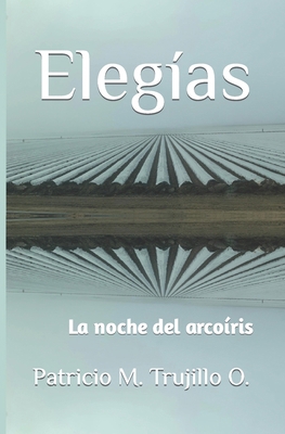 Elegías: La noche del arcoíris [Spanish] B0BTRX4YHD Book Cover