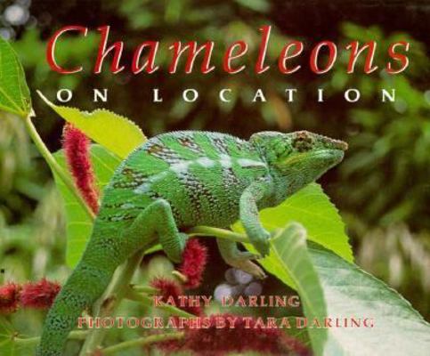 Chameleons: On Location 0688125387 Book Cover