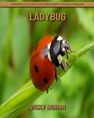 Paperback Ladybug: Amazing Facts and Pictures about Ladybug for Kids [Large Print] Book