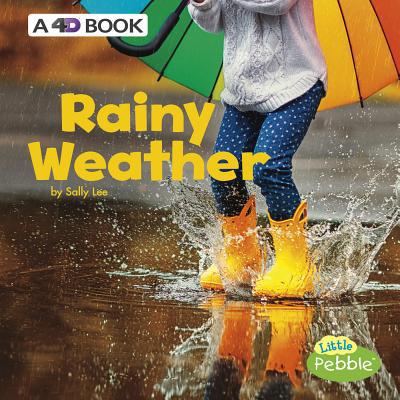 Rainy Weather: A 4D Book 1977101844 Book Cover