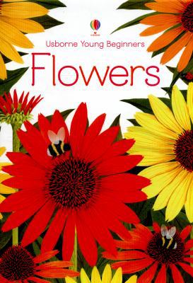Young Beginners Flowers 1409581772 Book Cover