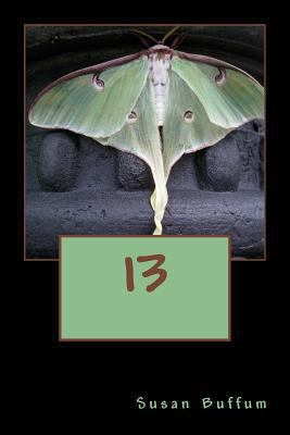13 1539696510 Book Cover