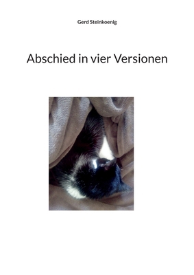 Abschied in vier Versionen [German] 3769316991 Book Cover