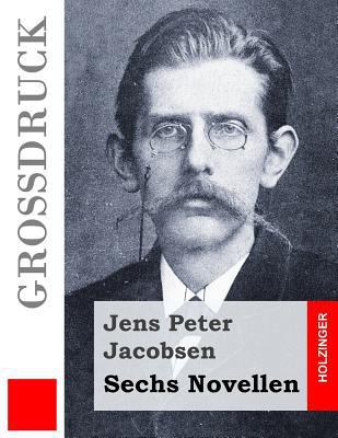 Sechs Novellen (Großdruck) [German] 1505853079 Book Cover