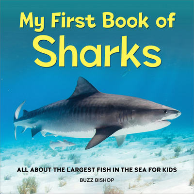 My First Book of Sharks: All about the Largest ... 1685396402 Book Cover
