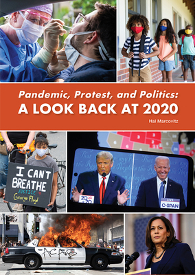 Pandemic, Protest, and Politics: A Look Back at... 1678201820 Book Cover