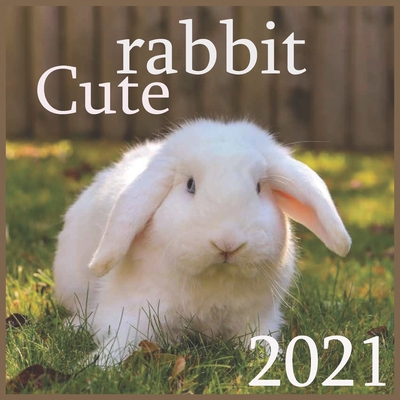 rabbit cute: 2021 Monthly Square Wall Calendar, Domestic Animals Small Pets
