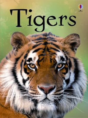 Tigers Internet Referenced 0794532861 Book Cover